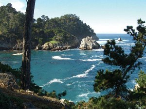 Scenery of Point Lobos State Park